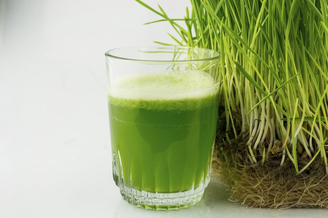 The 7 wonders of wheatgrass