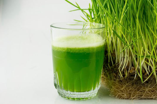 The 7 wonders of wheatgrass
