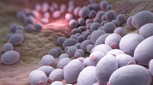 Overcome Candida in Three Easy Steps