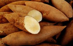 Yacon’s sweet secrets - by Julie Morris