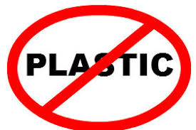 Why I Avoid Plastic Water Bottles! - by The Organic Bunny
