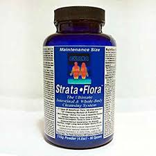 The pros of probiotics – 3 compelling health benefits - by The Superfood Blog