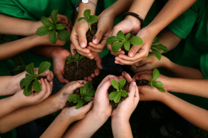10 Ways You Can Be More Environmentally Conscious - Jesse Golden