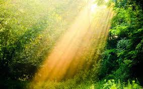 Vitamin D deficiency – causes and solutions by The Superfood Blog
