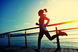 The protein diet plan – 3 facts that you should know before starting