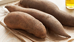 Our sweet prayers answered: Yacon Root