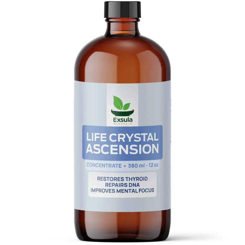 Ascension | Exsula Minerals