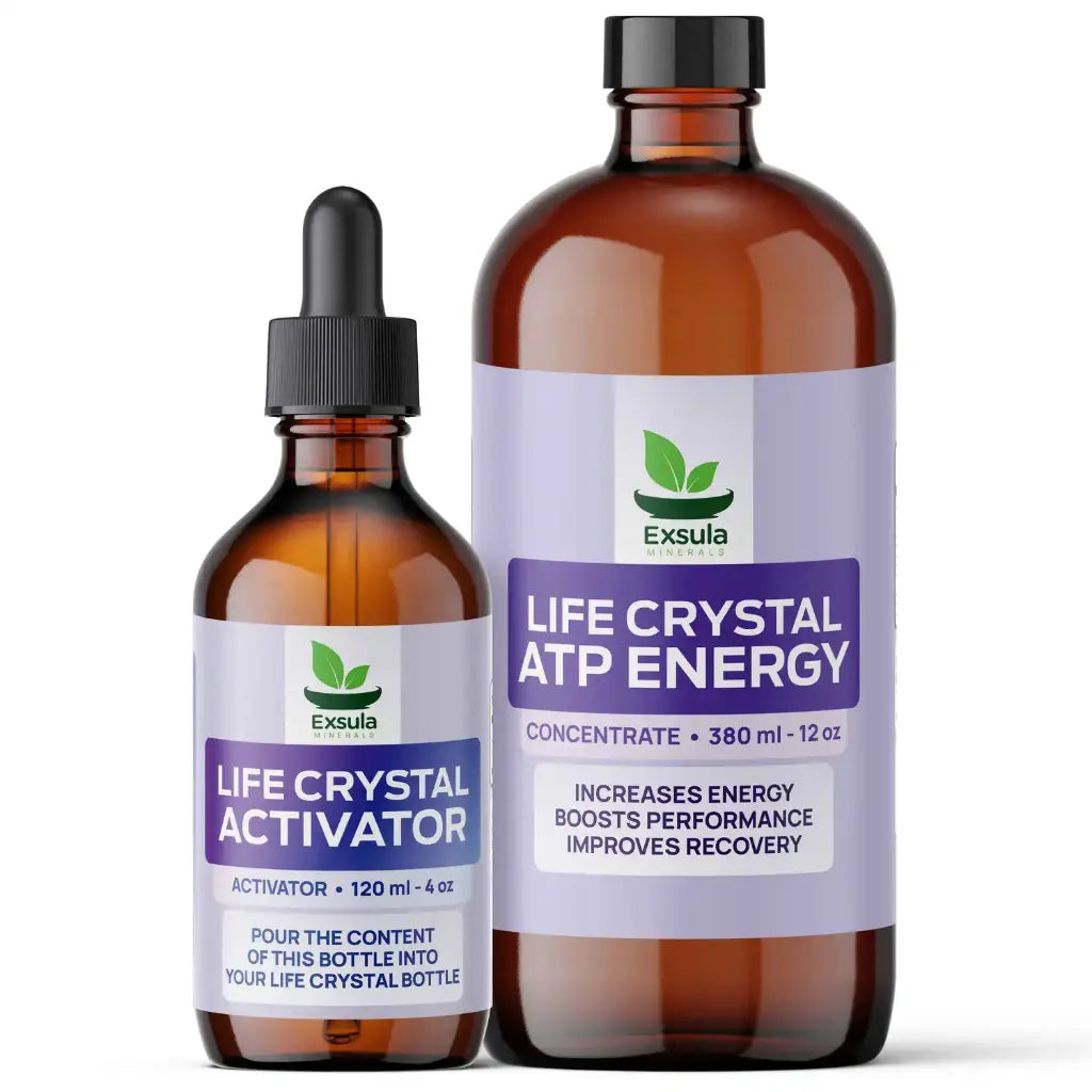 ATP+ Energy | Exsula Minerals