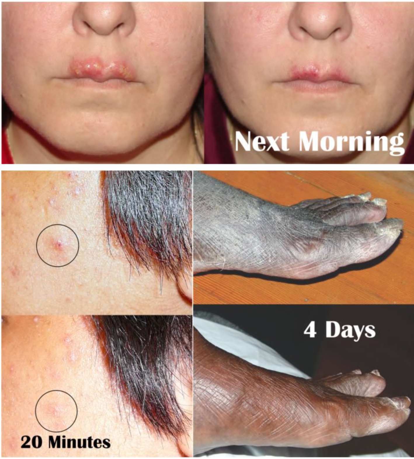 Trauma Gel Complex | Skin Sorcery