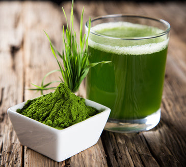 Organic barley grass powder – a super green that’s super good for you!