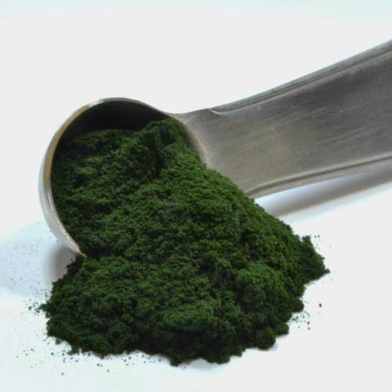 Enjoy organic chlorella powder, enjoy five superb health benefits!