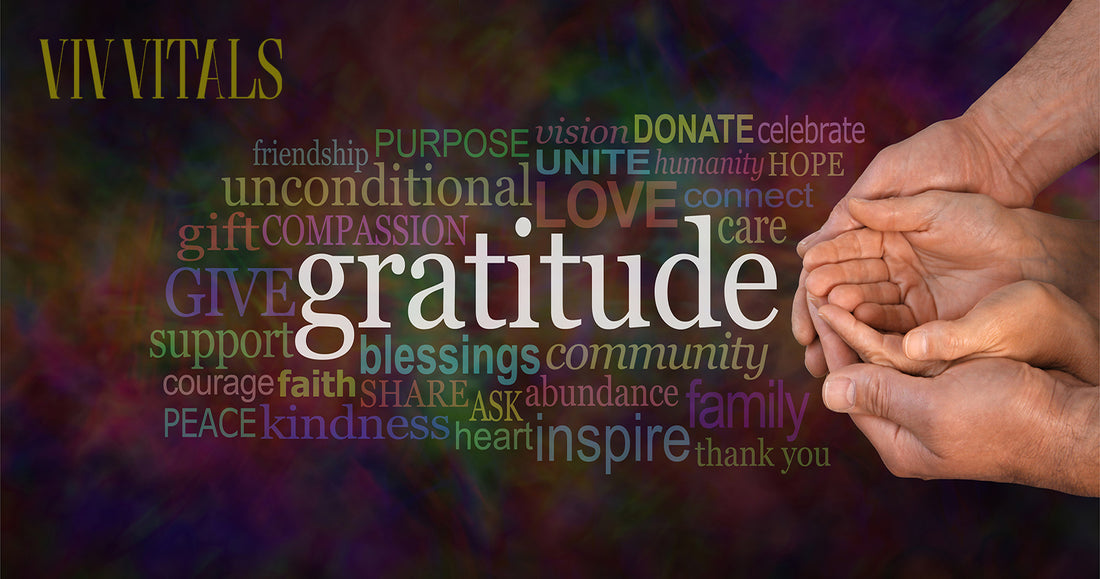 The Power of Gratitude