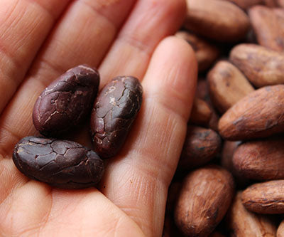 Weight Loss & Raw Cacao – Your Secret Weapon - by The Superfood Blog