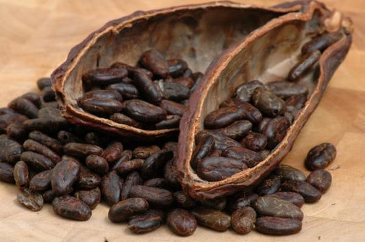 What are cacao beans? - by The Superfood Blog