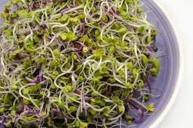 Sprouts & Microgreens: Why You Should Have a Little Garden in Your Kitchen