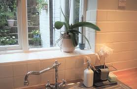 How To Refresh Your Kitchen This Spring