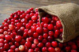 Cranberries – so much more than just a seasonal sweet treat!