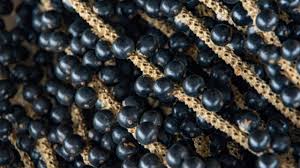 The Truth About The Acai Berry by The Superfood Blog