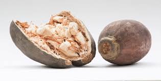 Baobab – boost your nutrient intake with one simple serving! - by The Superfood Blog