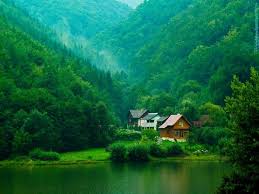 A green dream