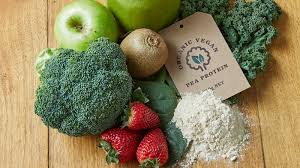 Sun Warrior Organic Protein Powders
