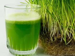 Why the buzz about barley grass? - by The Superfood Blog
