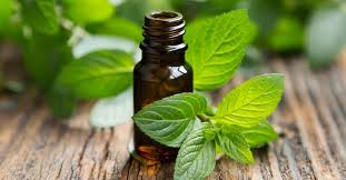 Best Natural Headache Cure – Saje Peppermint Halo Essential Oil Roll-On - by Living pretty naturally