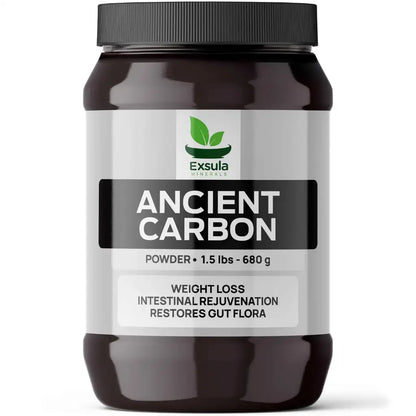 Ancient Carbon | Exsula Minerals