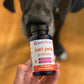 Just Pets Probiotic | Just Thrive