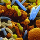 Microbiometrics | Elemental Wizdom