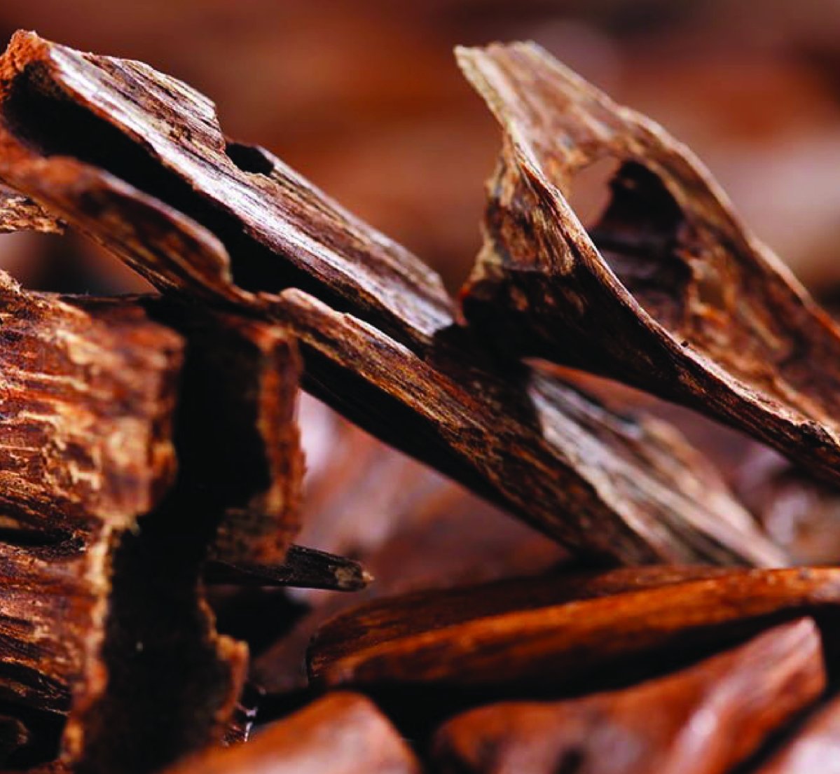 100% Pure Agarwood Essential Oil | Elemental Wizdom